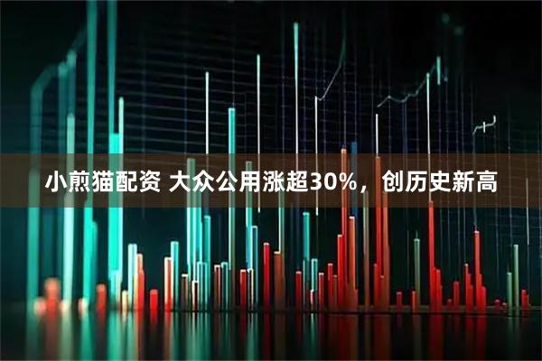 小煎猫配资 大众公用涨超30%，创历史新高