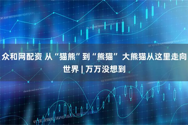众和网配资 从“猫熊”到“熊猫” 大熊猫从这里走向世界 | 万万没想到